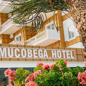 Mucobega **** Sarandë